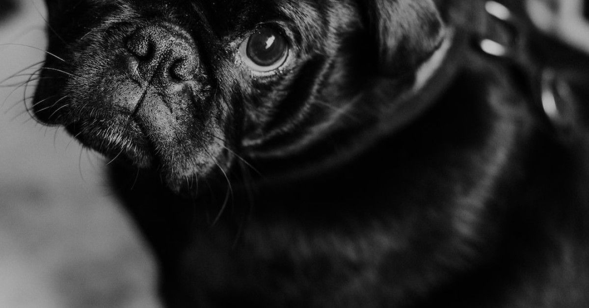 10 essential tips for crafting captivating website content and blog posts