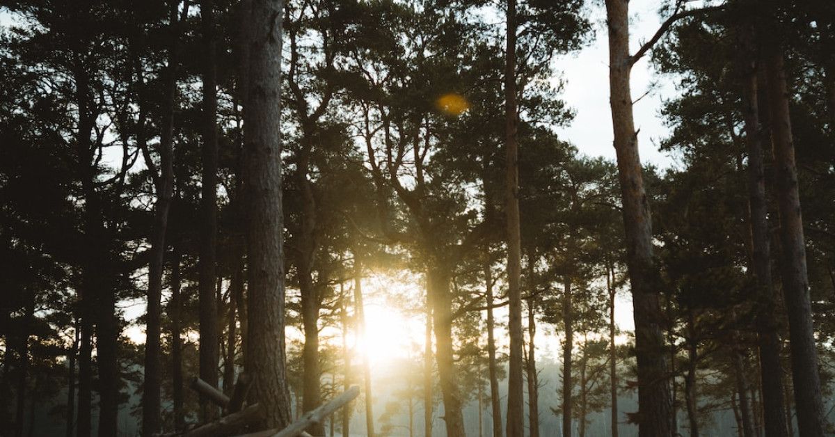 Inspirational Quotes for Encouraging a Positive Morning Routine