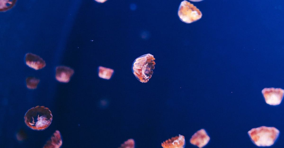 Tips to Avoid Toxic Instagram Captions for Authentic Engagement