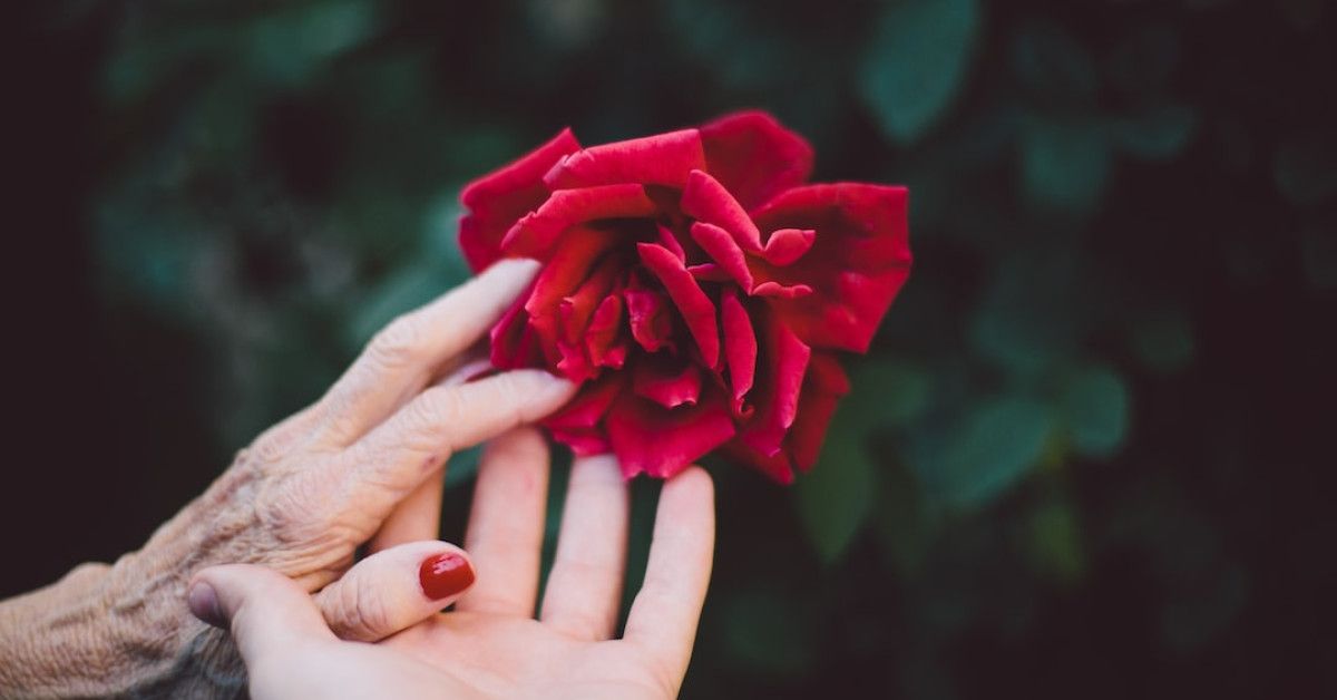 Heartfelt quotes to say goodbye and find closure image