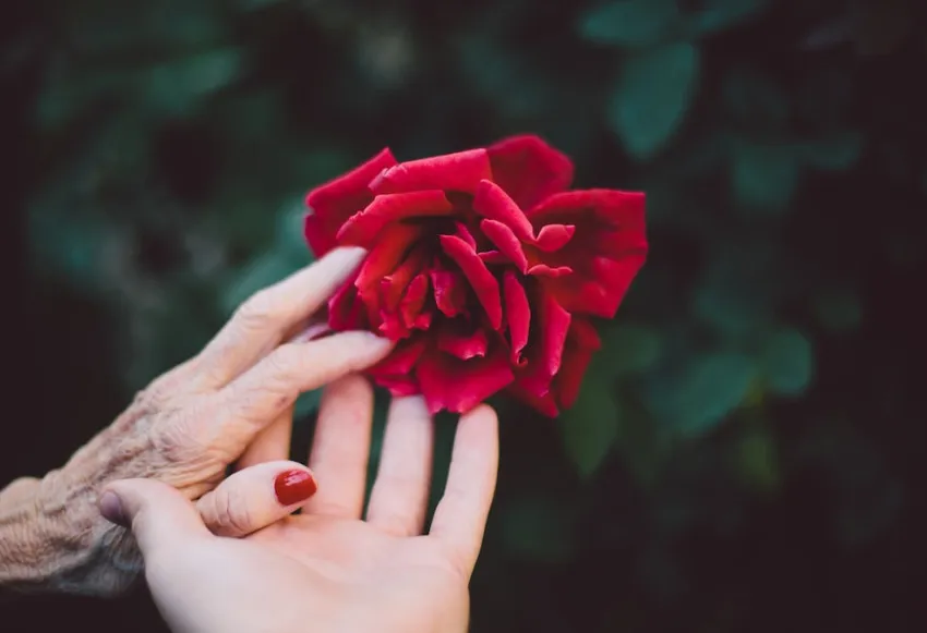 Heartfelt quotes to say goodbye and find closure image