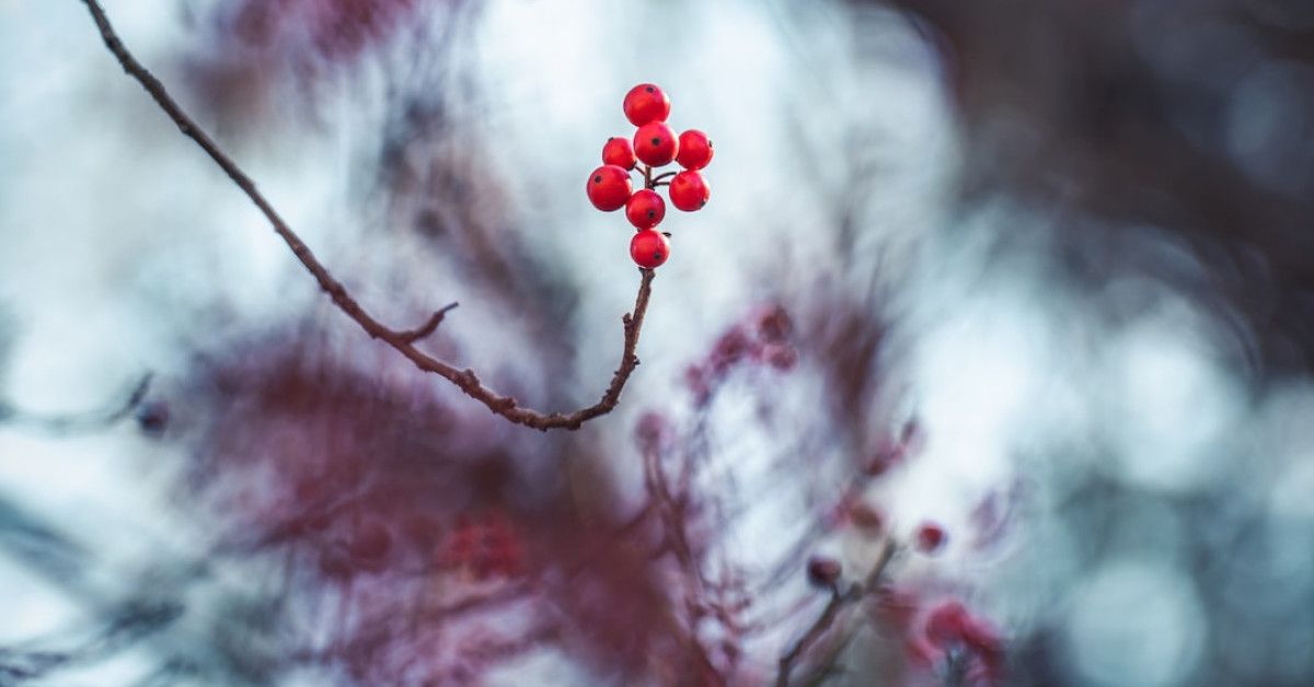 Blessings Overflow: Beautiful Quotes to Touch Your Loved Ones
