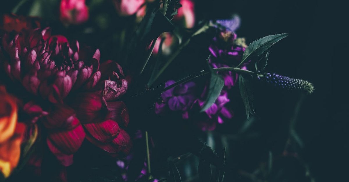 10 dark humor pick-up lines that will make them laugh