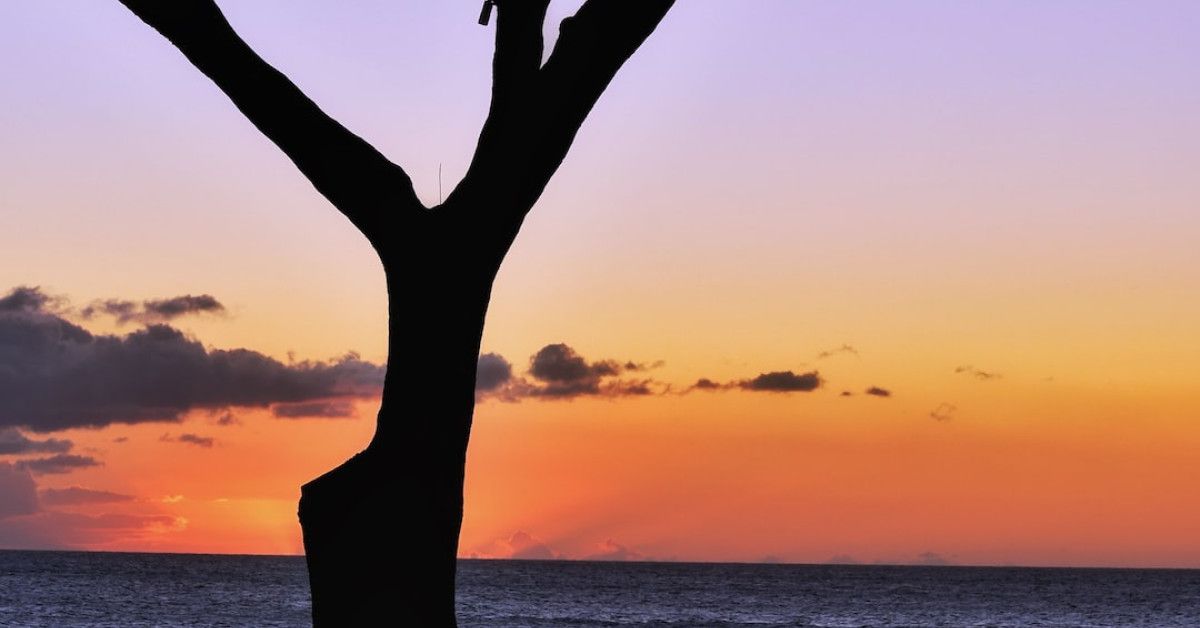 The Pursuit of Perfection: Inspiring Quotes for Embracing Excellence