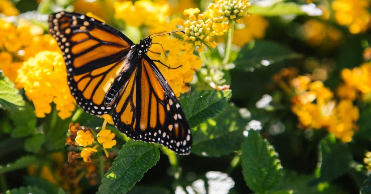 Transform your life with inspirational quotes that inspire action.